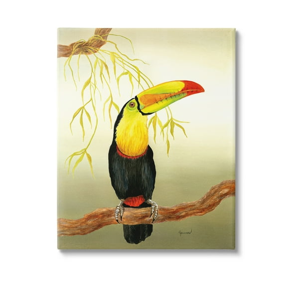 Stupell Industries Toucan on Forest Branch Animals & Insects Painting Gallery Wrapped Canvas Art Print Wall Art, 16 x 20