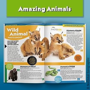 National Geographic Kids Almanac 2027 (Hardcover)