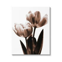 Stupell Industries Two Tulips Photography Botanical & Floral Photography Gallery Wrapped Canvas Print Wall Art, 24 x 30