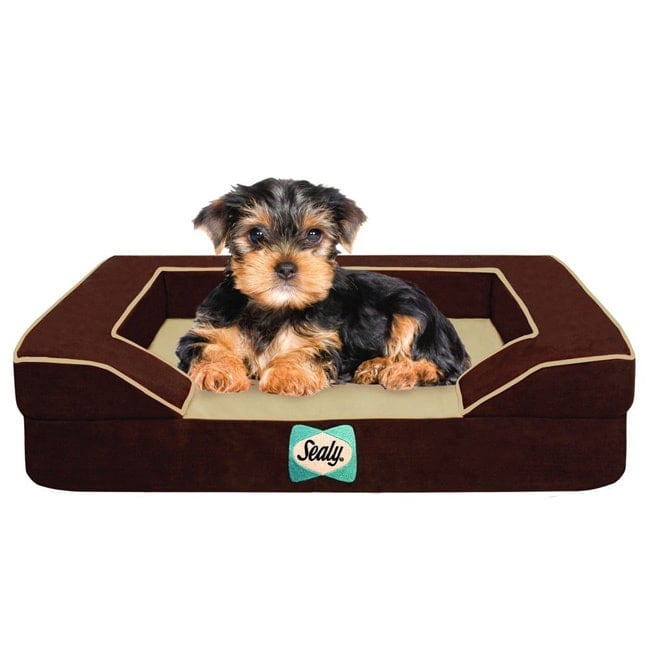 premium dog beds