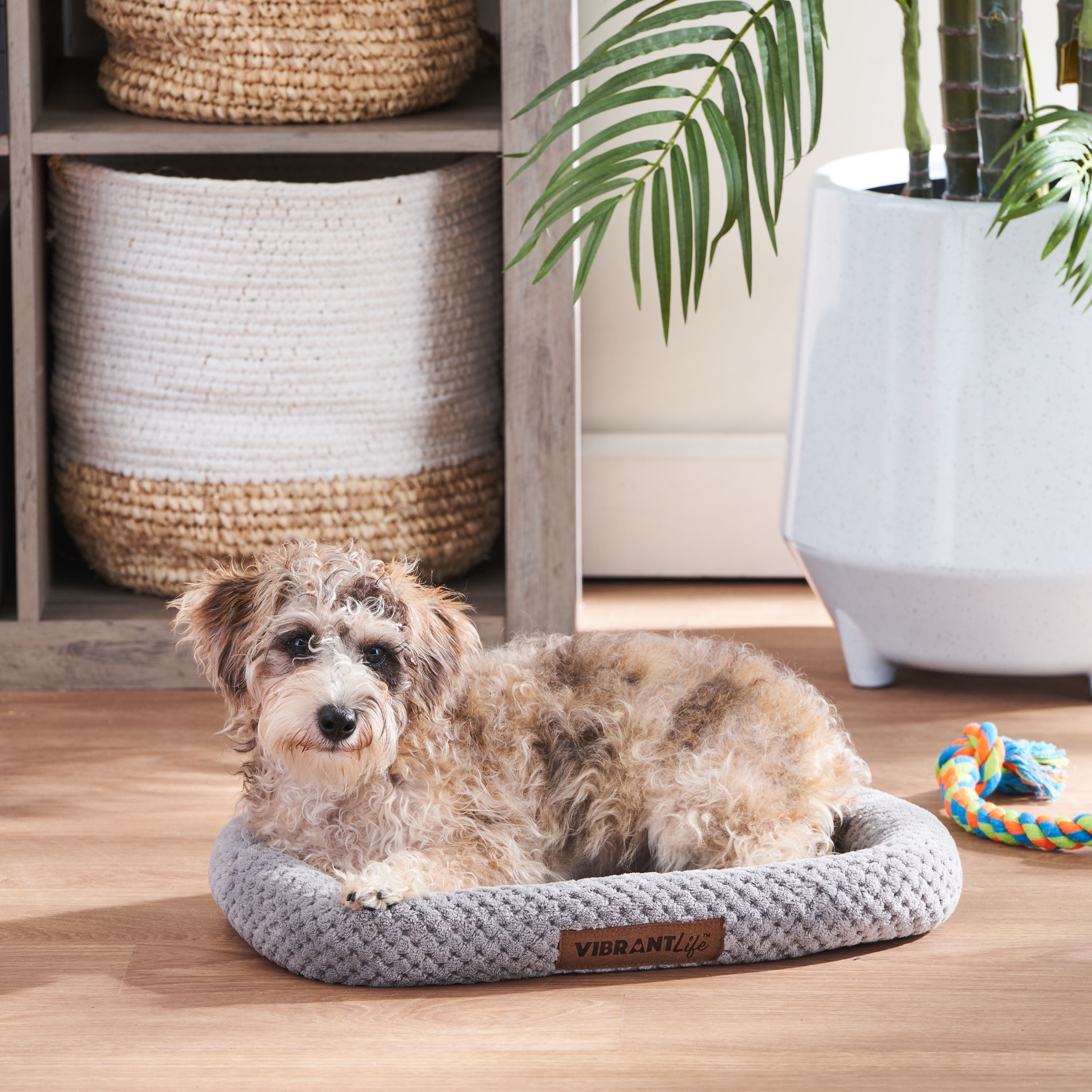 Vibrant Life X-Large Cozy Luxe Crate Mat Pet Bed, Gray 