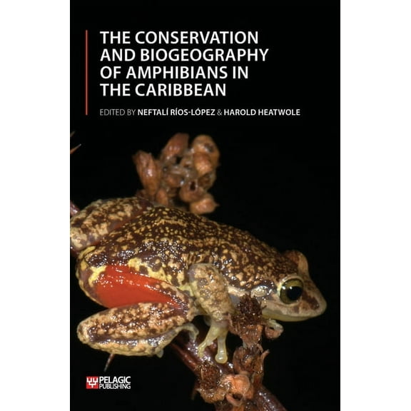 Conservation and Biogeography of Amphibians in the Caribbean, (Hardcover)
