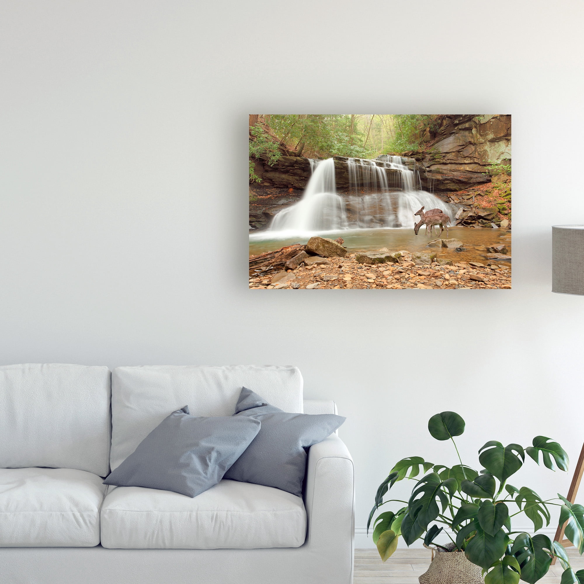 Trademark Fine Art 'Two Deer At Holly River Falls West Virginia' Canvas Art by Monte Nagler