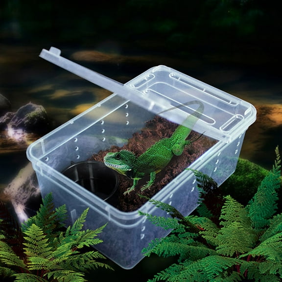 Walbest Transperent Plastic Box Insect Pet Reptile Transport Breeding Live Food Feeding Case, Lightweight Breathable Snakes Spider Lizard Frog Feeding Container Hatchery Box