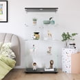 thumbnail image 3 of 4 Shelf and 2 Door Cabinet | Ideal for Living Room Decor. Showcase Items Clearly, 3 of 7