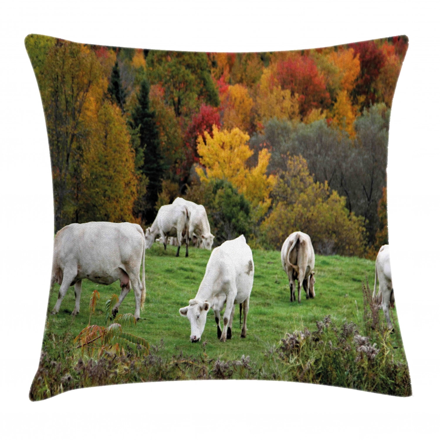 Farm Animal Throw Pillow Cushion Cover, Photo of Grazing Cows on Hill