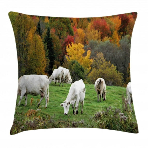 pillow pets cows