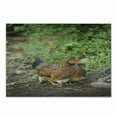 thumbnail image 1 of Hen and Chicks Cutting Board, Domestic Animal Mother Chicken on Her Babies with Herbs Blurred Background, Decorative Tempered Glass Cutting and Serving Board, in 3 Sizes, by Ambesonne, 1 of 2