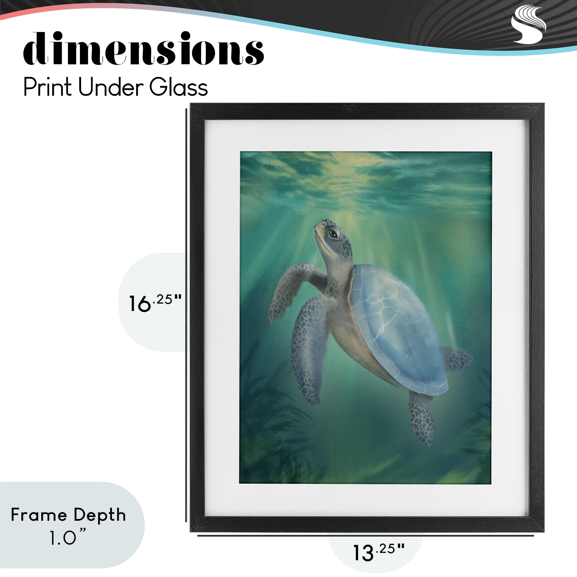 Stupell Industries Coastal Beach Sea Turtle Black Framed Print Under Glass, design by Matthew Piotrowicz