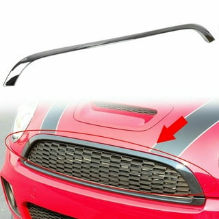 Mini Cooper Grill Trim