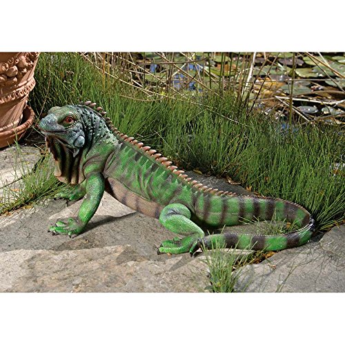Iguana slots free games Iguana slots free games