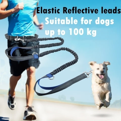 dog jogging belt