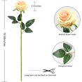 thumbnail image 5 of Conjunto de 12 rosas artificiales, flores de seda falsas decorativas con un solo tallo, flor realista, champán Sincero Electrónica, 5 of 5