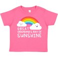 thumbnail image 3 of Inktastic Great Grandma's Little Ray of Sunshine Boys or Girls Toddler T-Shirt, 3 of 5