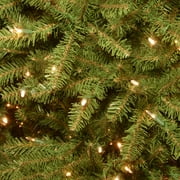 National Tree Company Pre-Lit Artificial Mini Christmas Tree, Green, Dunhill Fir, Clear Lights, Includes Stand, 4 Feet