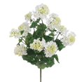 thumbnail image 1 of AllState Floral FBG041-WH 24 Po UV Protégé X5 Géranium Buisson - Blanc, 1 of 1