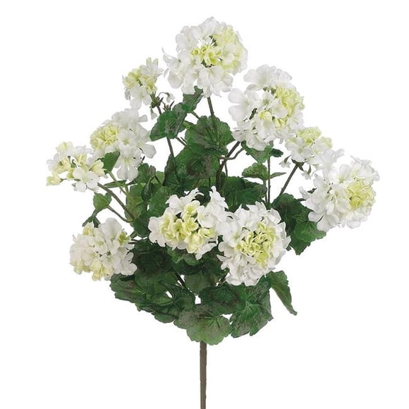 AllState Floral FBG041-WH 24 in. UV Protected X5 Geranium Bush - White