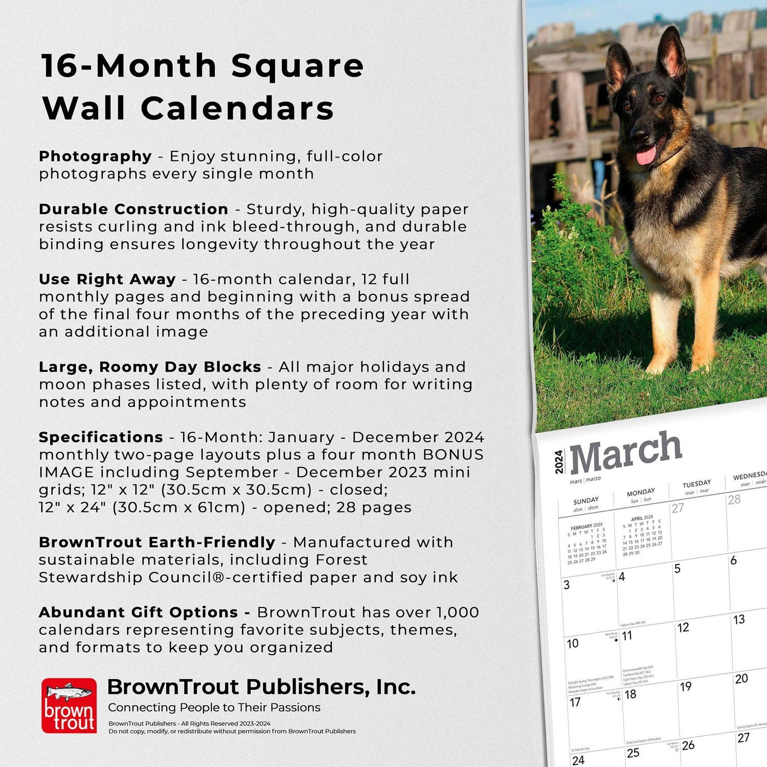BrownTrout German Shepherds 2024 12x24 Inch Square Wall Calendar, 9781975462833