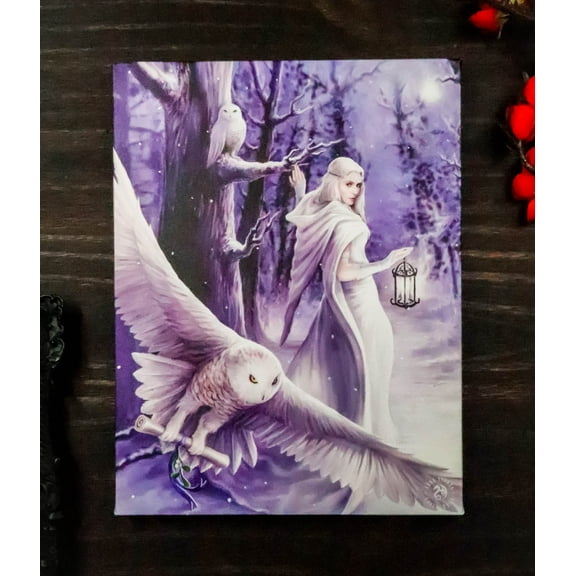 Ebros Anne Stokes Midnight Messenger Owl Fairy Wood Framed Picture Wall Decor