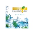 thumbnail image 2 of Air Wick Freshmatic Ultra Spray Refill Fresh Waters Aerosol  6.17 oz 2/Pk 3 Pk/Ct 82093CT, 2 of 8