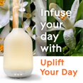 thumbnail image 3 of Difusor de aromaterapia Glade y ambientador de aceite esencial para el hogar, mejora el aroma de tu día con notas de naranja y neroli, 0,56 onzas líquidas, 3 of 9