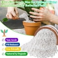 thumbnail image 3 of 8 Quarts Organic Horticultural Perlite for Plants Indoor- Natural Horticultural Soil Additive Conditioner Mix for Improves Drainage, Ventilation and Root Growth, 3 of 7