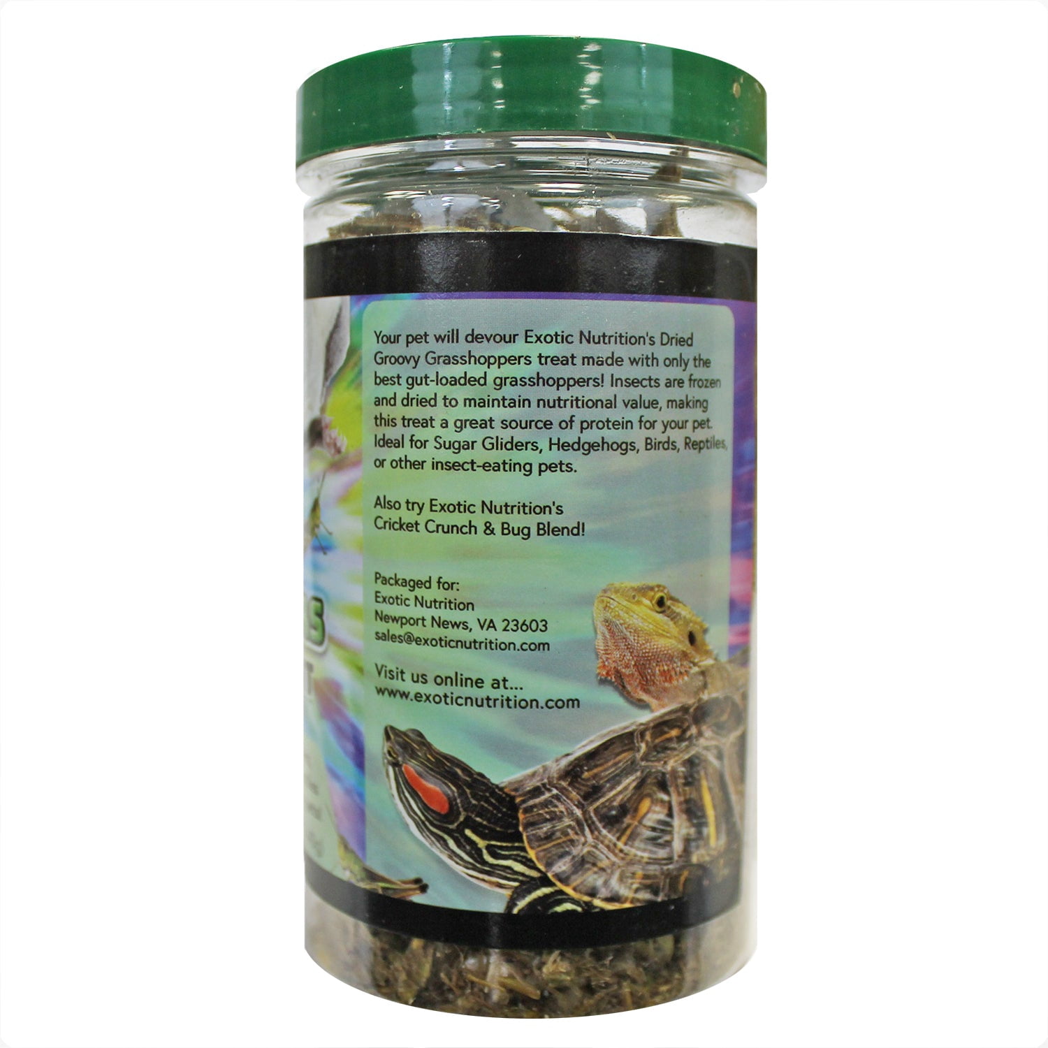 Exotic Nutrition Dried Insect 3 Pack