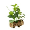 thumbnail image 1 of Macetas de madera creativas y adornos domésticos de bonsái verdes., 1 of 5