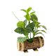 thumbnail image 1 of Macetas de madera creativas y adornos domésticos de bonsái verdes., 1 of 5