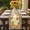 Black, variant on Sunflowers Table Runner - 108 Inch Long, Kitchen Dining Table Runner Dresser Scarves, Summer Country Botanical Yellow Flowers Plaid Farmhouse Decor for Coffee Tables Wedding Party Banquet