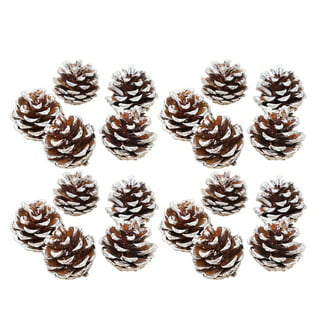 Christmas Pinecone Ornaments Rustic 37PCS Natural Pine Cones Craft Pinecones