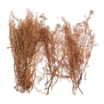 thumbnail image 2 of Diy Quinoa Modelo Natural Diy Paisaje Para Rr Tren Diorama Paisaje, 2 of 5