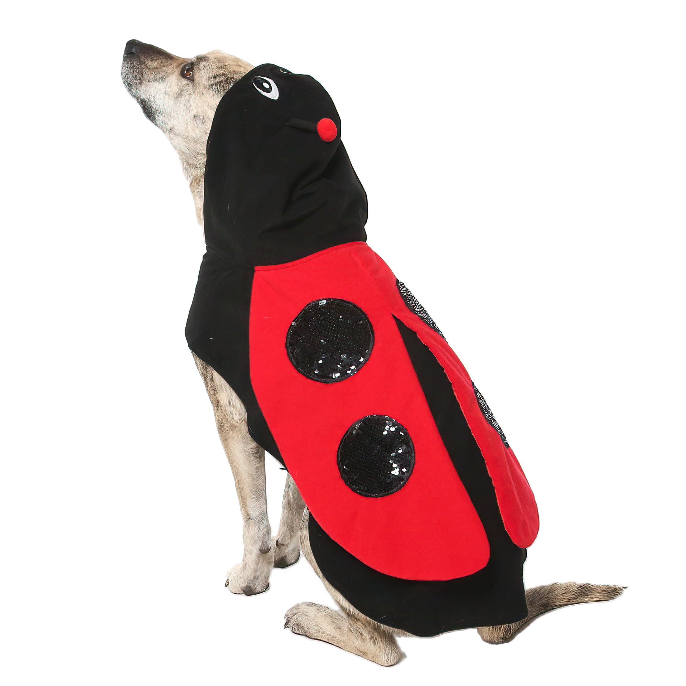 Vibrant Life Vl Hw Ladybug Costume Large