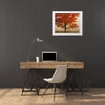 thumbnail image 3 of OBrien, Jay 18x15 White Modern Wood Framed Museum Art Print Titled - West Virginia, Canaan Valley SP Tree in autumn, 3 of 4