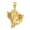 Yellow Gold, variant on 14K Yellow Gold Texture and Polished Finish Oyster Shell Charm Pendant