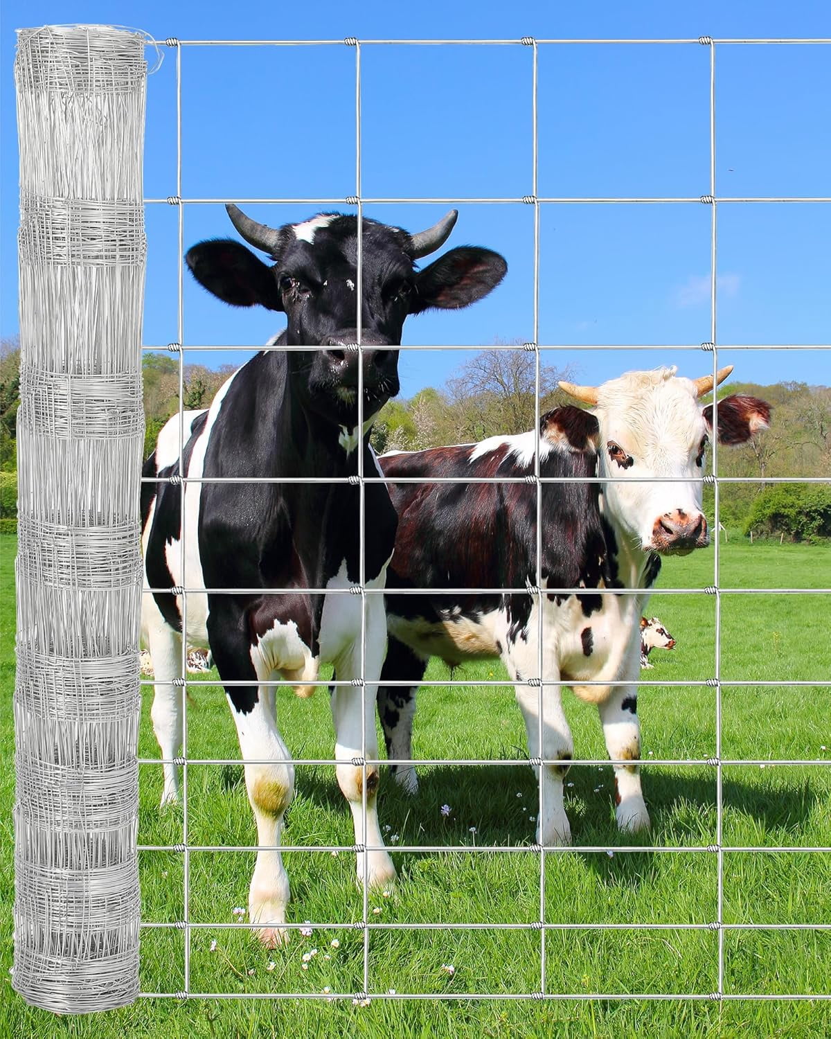 Rugerasy Cattle Fence,5FT x 328FT Galvanized After Welding Chicken Wire Fence Roll for Raised Garden Beds,Plant Supports,Poultry Netting,Cattle Farm Fence,Cage Protection,1.5*100M
