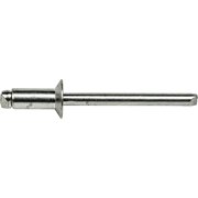 Fastenere Pop Rivets - 1/8 x 5/16 ( 100 pcs) Heavy Duty, Open-End, Stainless Steel, Dome-Head Blind Rivets, Corrosion-Resistant, High Tensile & Shear Strength, 4-5 Gap .251 - .312
