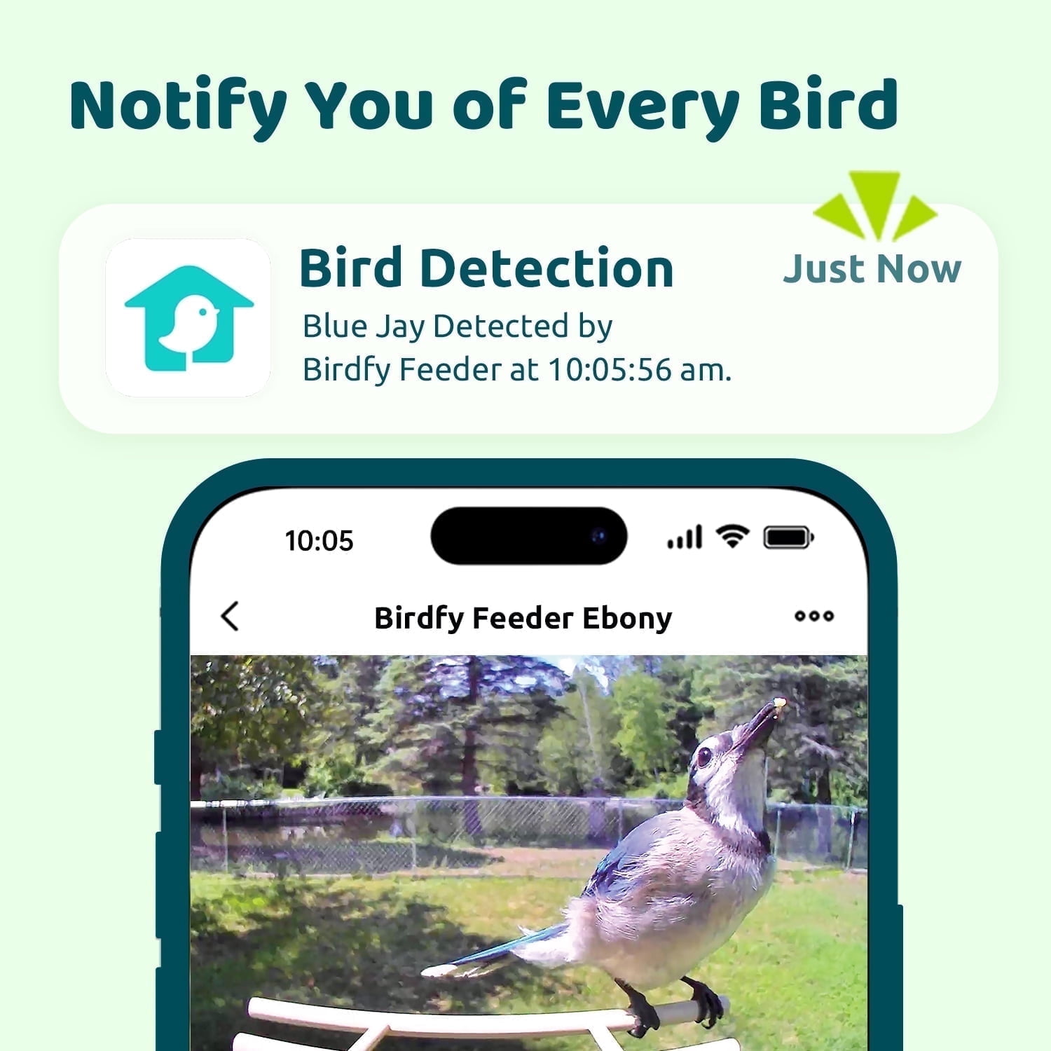 Birdfy Smart Bird Feeder with Camera, Bird Watching Camera with Solar Panel, AI Identify 6000+ Species, Eco-friendly Wooden, Ideal Gift, Ebony