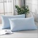 thumbnail image 1 of Funda de Almohada Corporal Transpirable Azul Celeste para Personas Calurosas y Que Sudan Por La Noche | Material Suave de Terciopelo, Nailon y Elastano | 51 X 90 Cm | 2 Unidades, 1 of 6