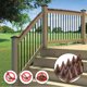 thumbnail image 1 of 10pcs Plastic Spikes Bird Small Birds Rodent Animal Repellent Roof Guard Soledad picos de pájaro, 1 of 10