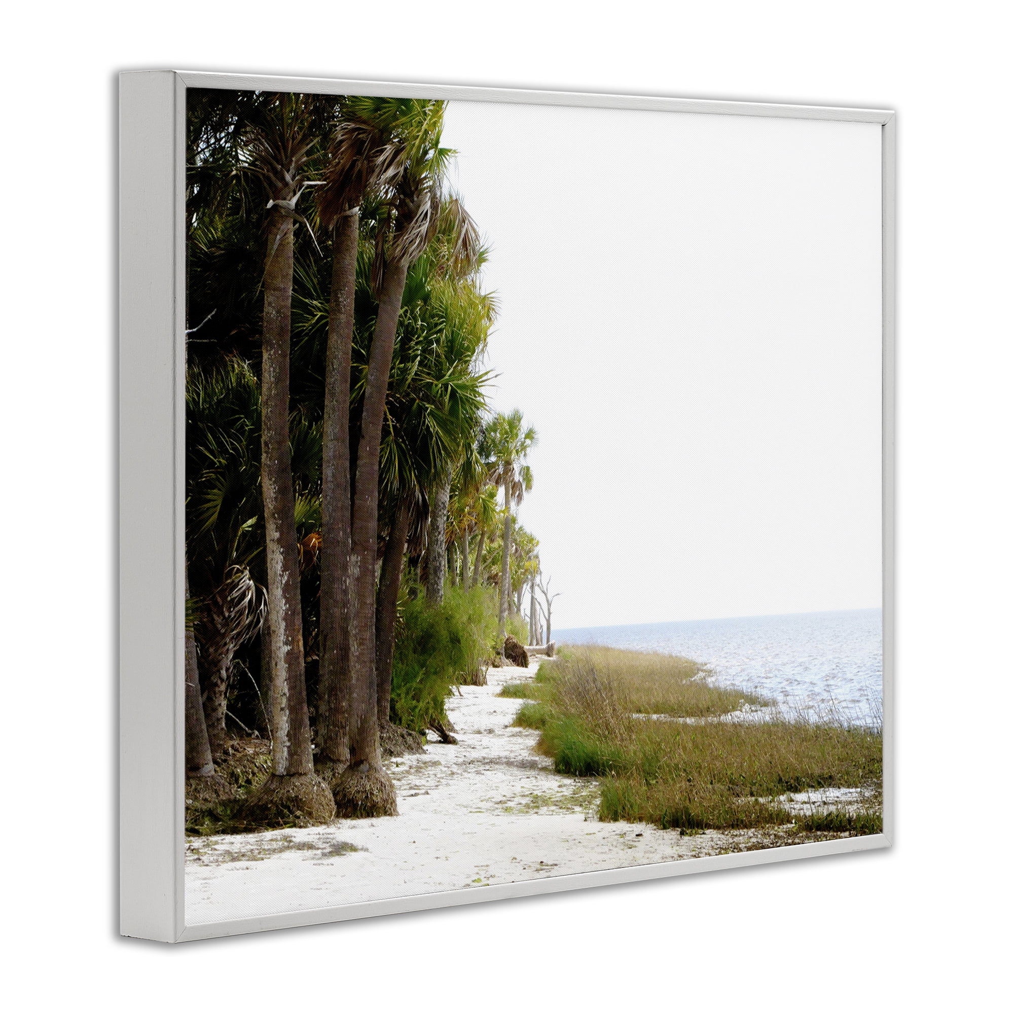 Stupell Industries Palm Beach Path Landscape Photography White Framed Art Print Wall Art, 30 x 24