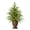 B, variant on Christmas Tree, 24 in Pre-Lit Artificial Mini Pine Tree with Warm White LED Lights and Woven Basket Base, Small Tabletop Xmas Tree for Home Office