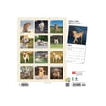 thumbnail image 3 of Labrador Retrievers, Yellow 2022 Square (Other), 3 of 3