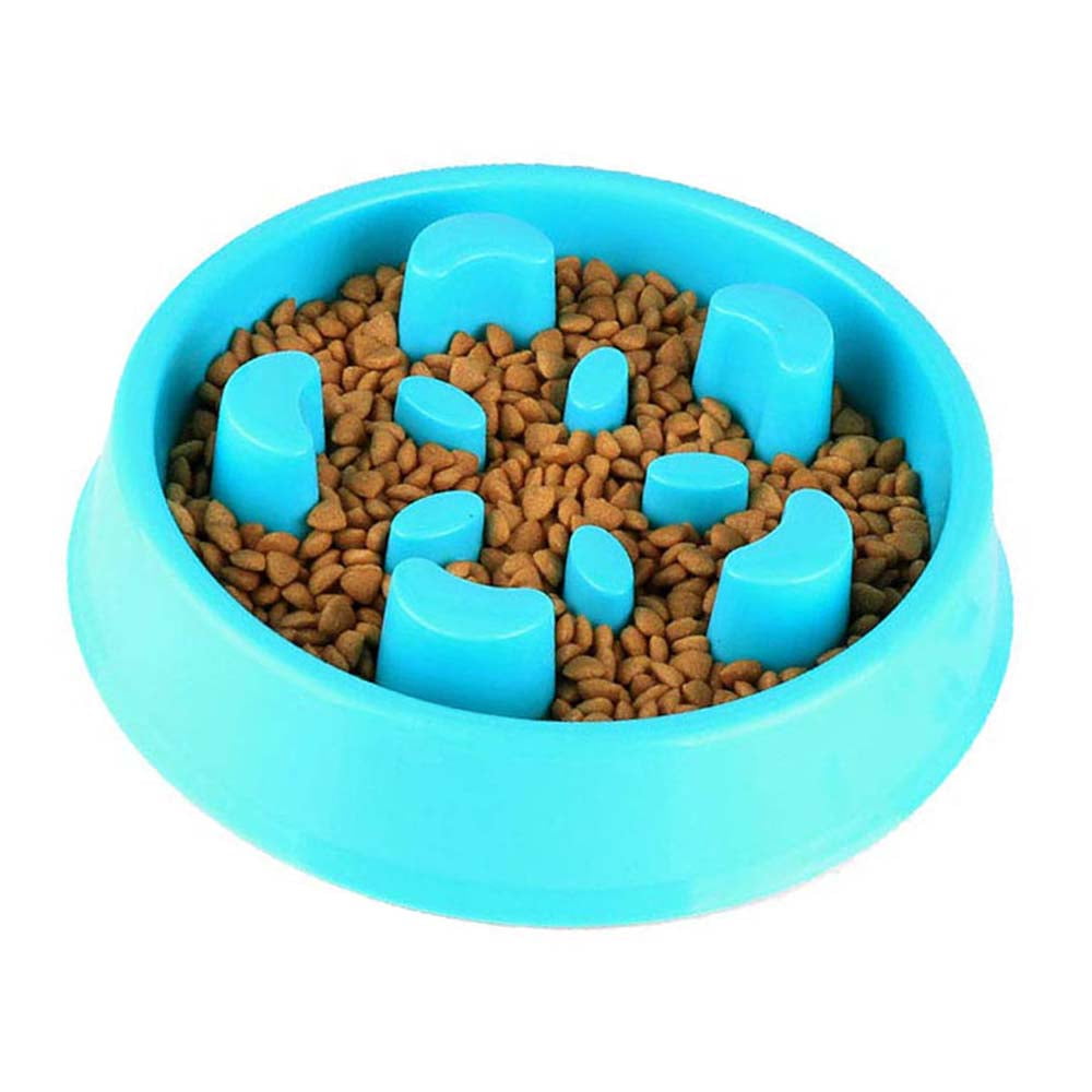 dog slow feeder risk dog slow feeder risk