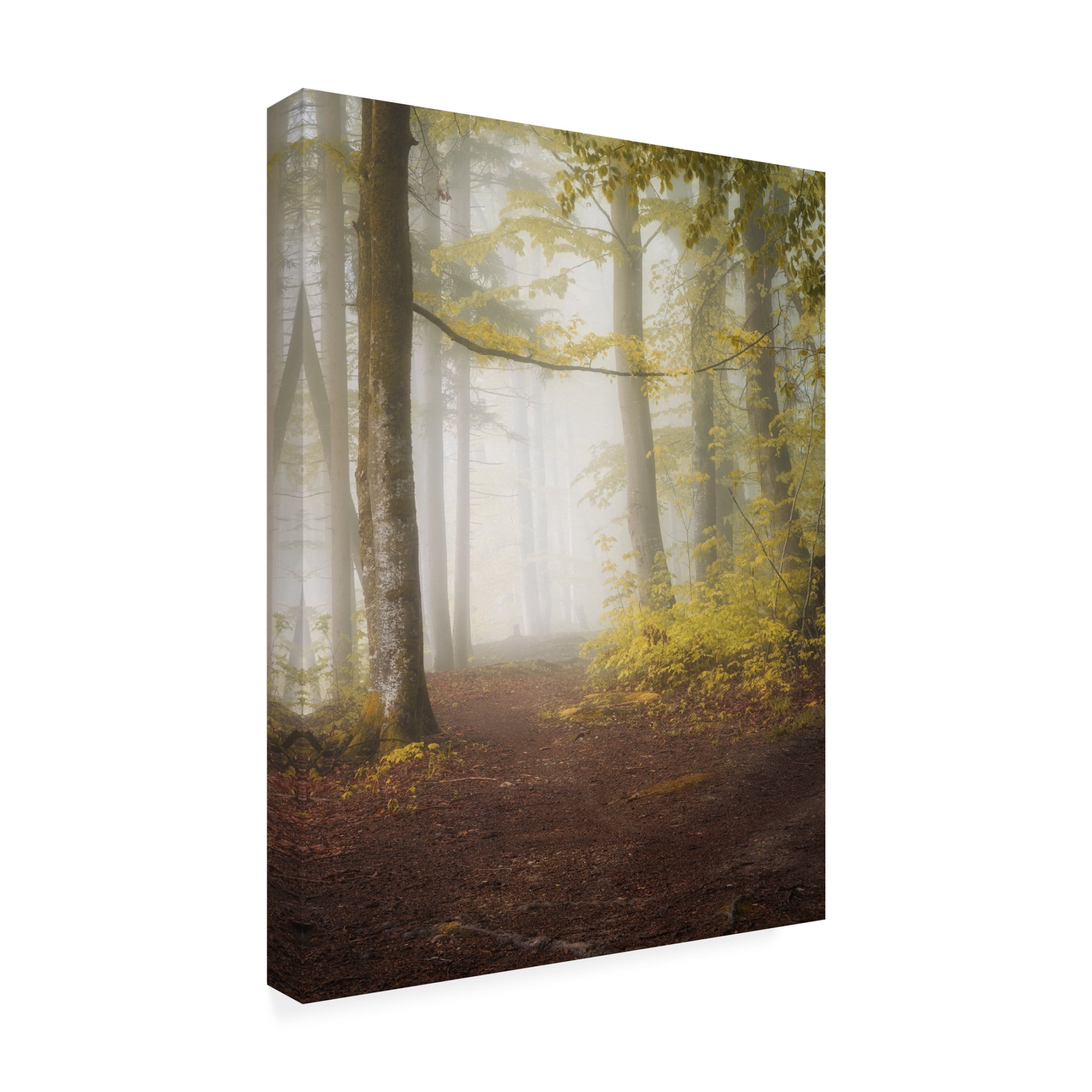 Trademark Fine Art Norbert Maier Lets Go For A Walk Canvas Wall Art