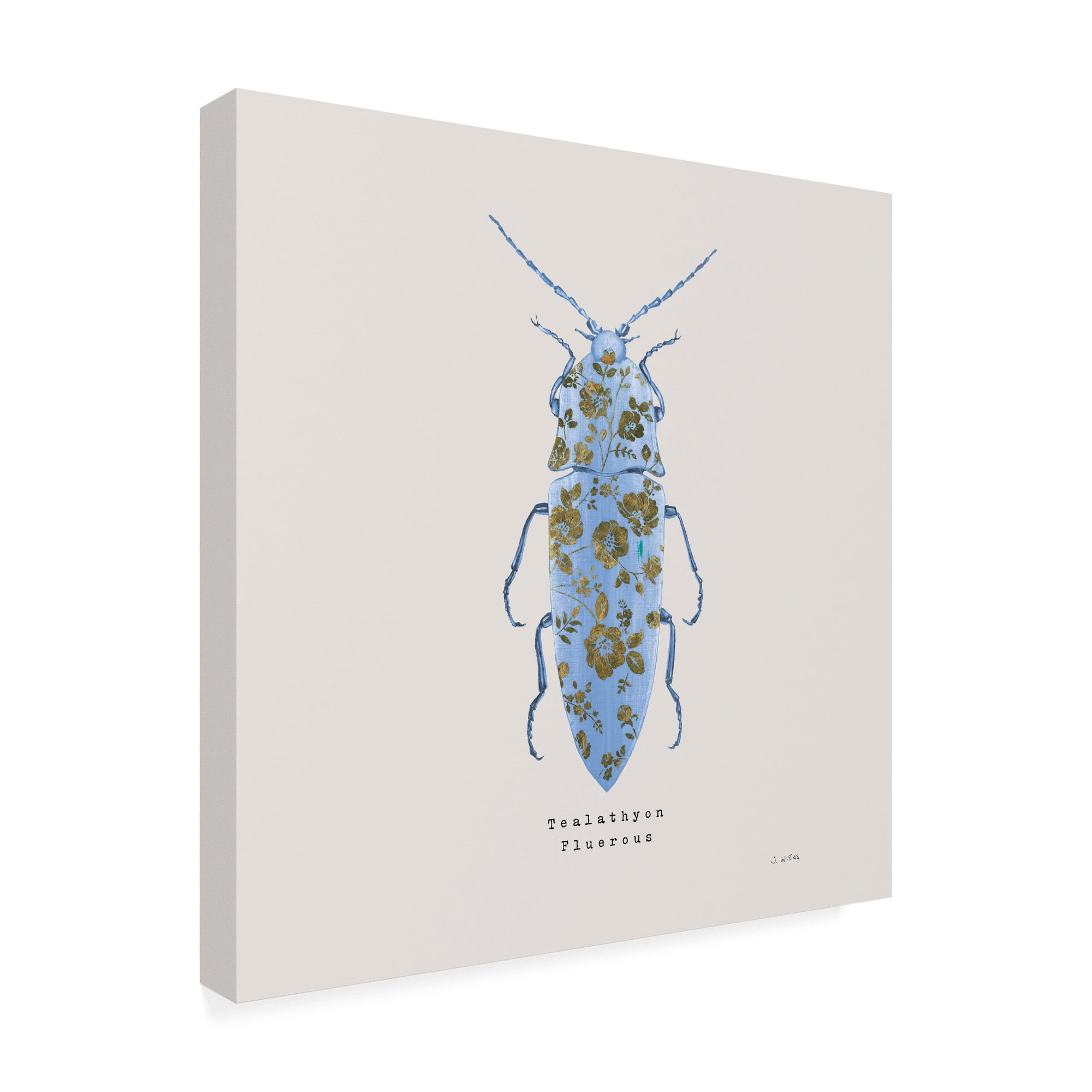 Trademark Fine Art 'Adorning Coleoptera VIII Sq Blue' Canvas Art by James Wiens