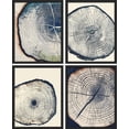 thumbnail image 3 of PixonSign Framed Wall Art, Blue & White Overexposed Wood Tree Ring Artwork, Set of 4 Nature Wildernes Plant Wall Decor Prints, Minimalism Modern Wall Décor for Living Room, Bedroom - 8"x10" Black, 3 of 5