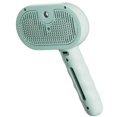 thumbnail image 1 of Self Cleaning Cat Brush for Dogs and Cats Portable Anti Static Grooming Brush for Shedding Loose Hair Removal, 1 of 5