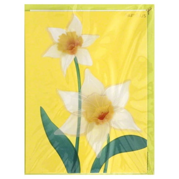 Beautiful Papyrus Blank Card