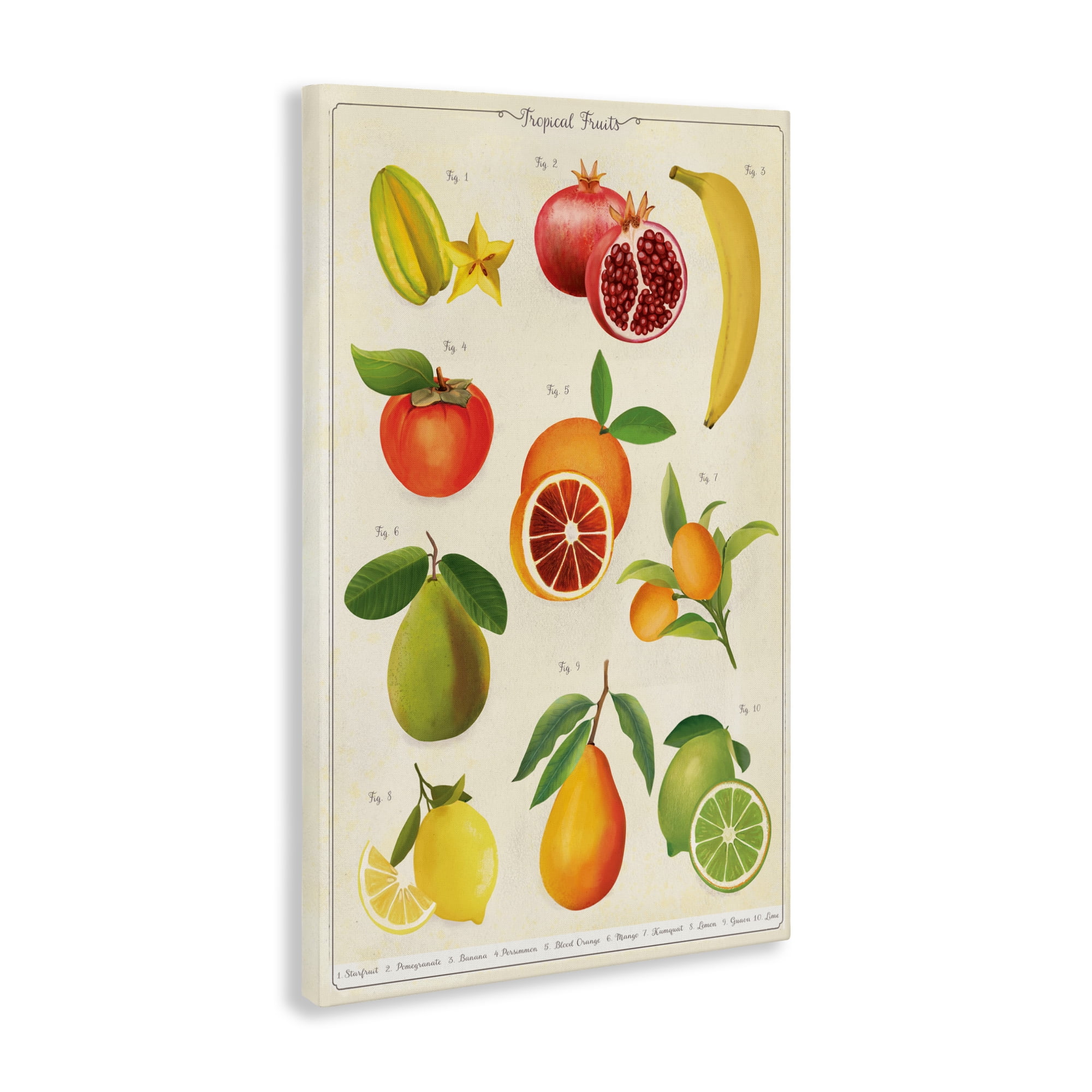 Stupell Industries Vintage Tropical Fruit Studies Canvas Wall Art, design by Diane Neukirch